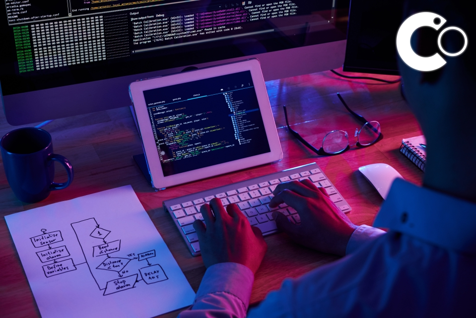 custom web development
